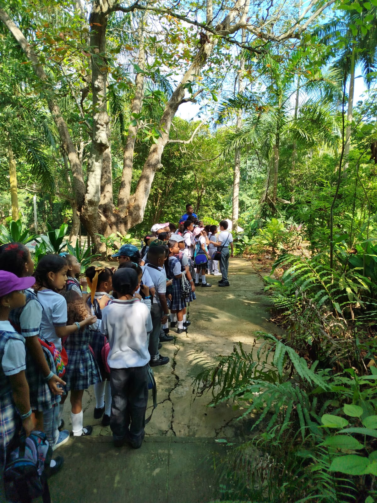 jardin-botanico-2